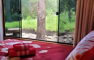 Cabana Pequeno Bosque Refúgio dás Águas - Foto 30