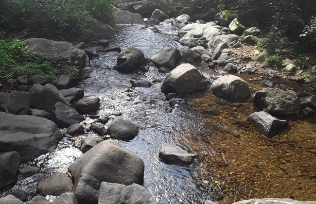 Mount view family rest & cottage - Photo 43