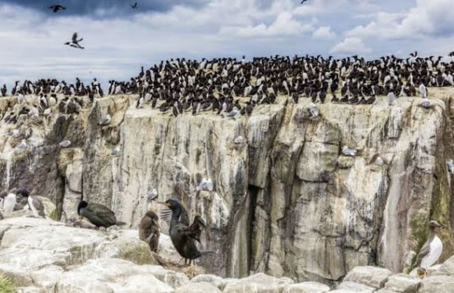 The Orchard House - Foto 23