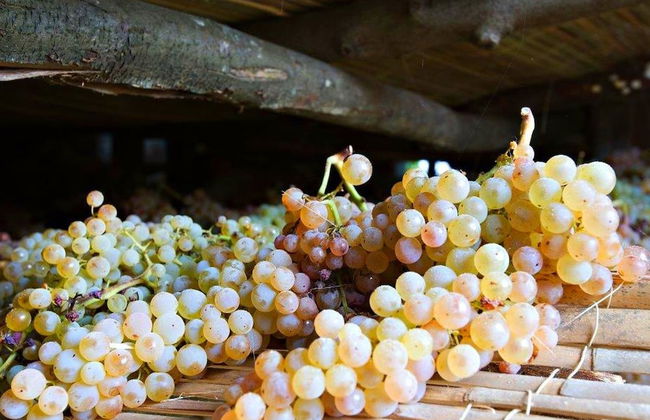 Farmhouse in Bacchereto Near Wine Region - Foto 14