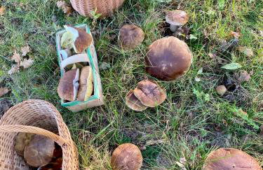 Komfortowy domek z kominkiem - Foto 34