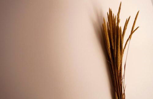 Sparrow Sintra Nest - Foto 40