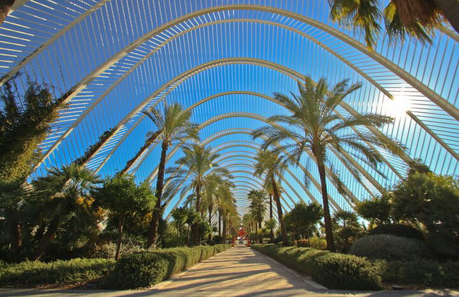 Tour en bicicleta eléctrica : Playas, & Ciudad de las Artes y las Ciencias - Foto 36