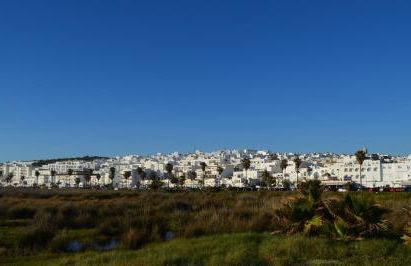 Apartamentos El Arrecife - Foto 47