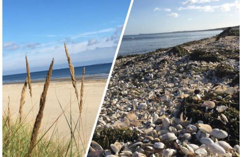 Ferienhaus mit Terrasse - Insel Usedom - Foto 46