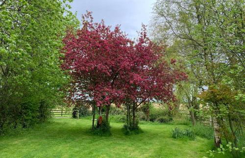 Large converted barn in peaceful, rural location - Foto 46