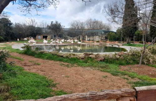 Niki Mountain House - Photo 43