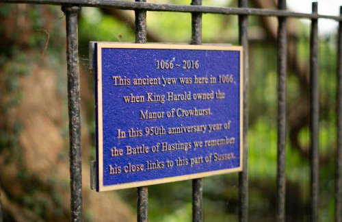 Luxury Studio Nestled in the Sussex Countryside - Foto 24