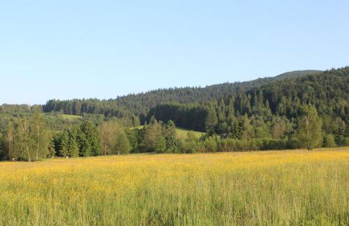 Dom Malowany domki - Foto 39