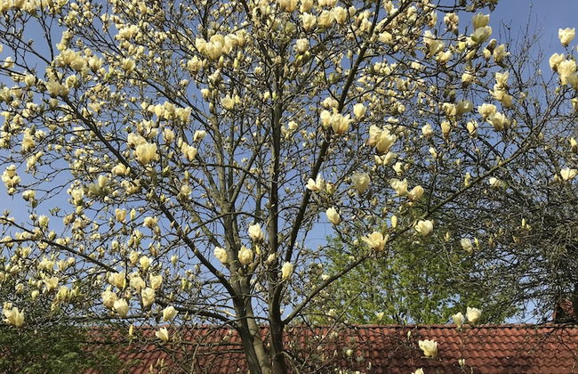 Ferienwohnung Maedchen - Foto 68