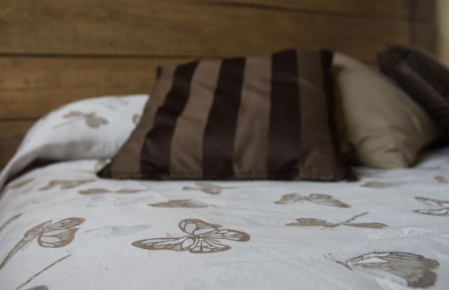 Agriturismo Angiò nel Ceré - Foto 13