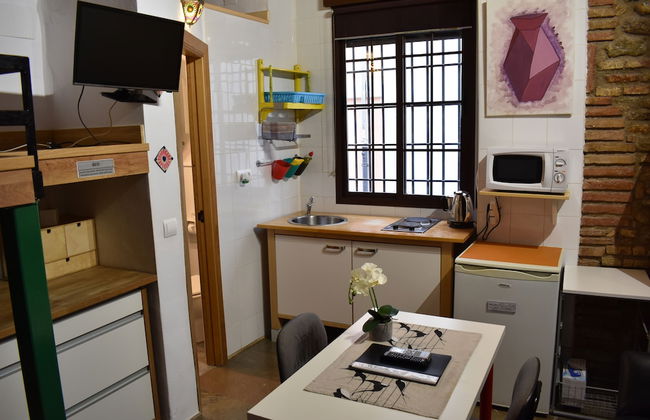 Golondrinas de la Alhambra - Foto 79