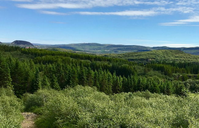 The Crib Rocks - Foto 30