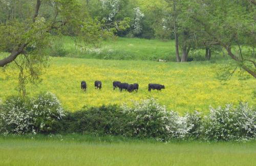 Wonderful Picturesque Countryside Cottage - Foto 13