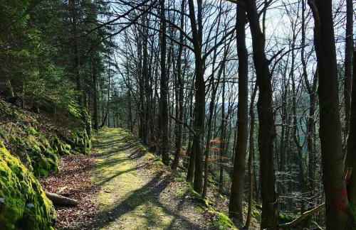 Ferienwohnung Frankenwald - Foto 22