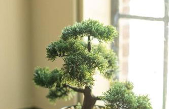 The Minimalist Retreat - Foto 45