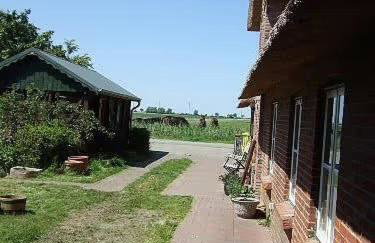 Reetdachhaus auf Eiderstedt - Foto 17