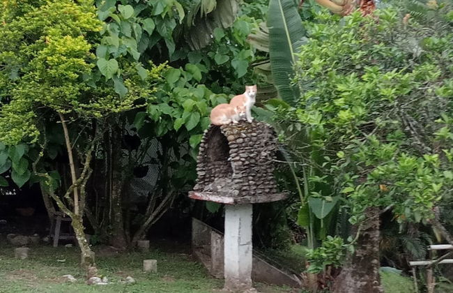 Rancho Ventura - Foto 46