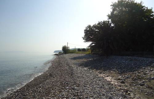 Luxury Beachfront Villa Poseidon Artemisiou Παραθαλάσσια Βίλα στην βόρεια Εύβοια για φιλοξενία 9 ατόμων - Foto 26