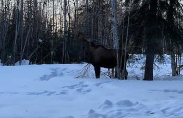 Meadow Rue Retreat - Foto 35