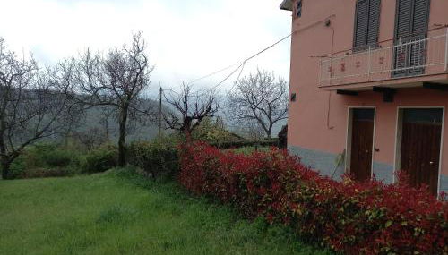 CASA VACANZA POLI - Foto 3, Garden