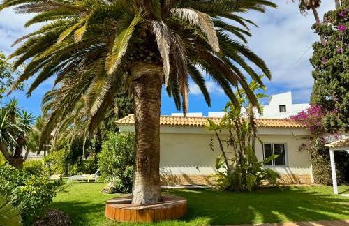 Villa Casa Lilo, en jardin grande,con una gran piscina, con pérgola y barbacoa - Foto 5