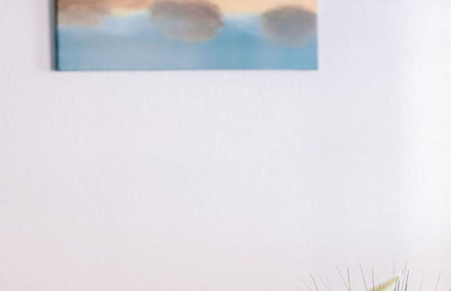 Vistalmar Beach Resort - Foto 49