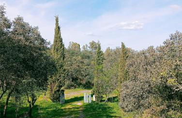 La Cabaña del Paito - Photo 7