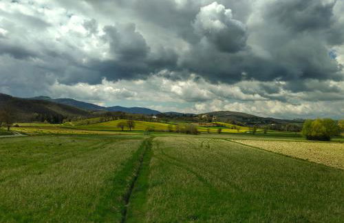Agriturismo Val della Pieve - Foto 34