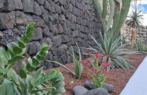 Central Flat Puerto del Carmen - Foto 29