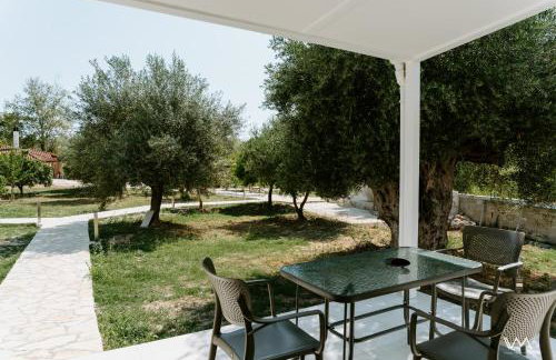 Oikies Verde - Foto 55