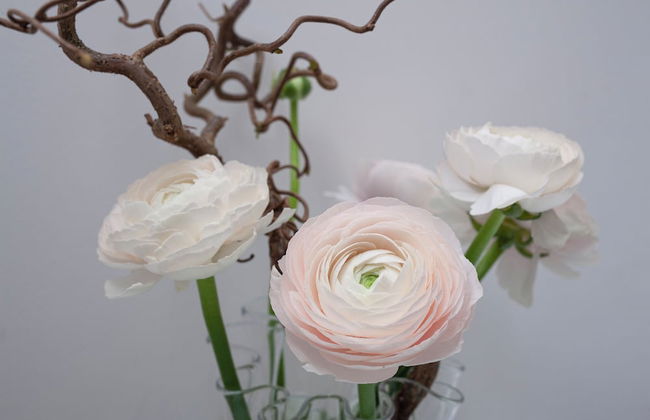 Santa Margherita Guesthouse - Photo 3