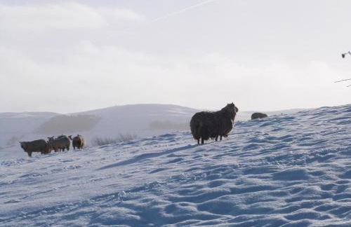 Greenfield Cottage - Foto 35