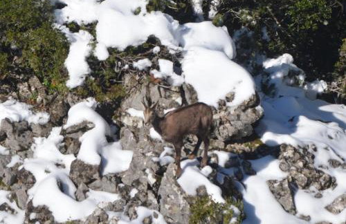 Tsigaridas Mountain Home - Foto 68