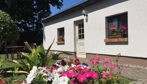 Ferienhaus an der südlichen Boddenküste - Foto 4