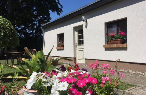 Ferienhaus an der südlichen Boddenküste - Foto 4