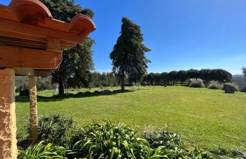 Cottage da Fonte Seca - Foto 21