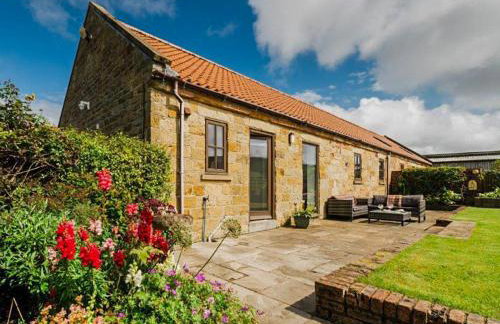 Barn Owl Cottage - Uk49034 - Foto 1