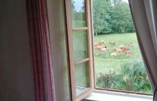 joli gîte plain pied - Foto 38