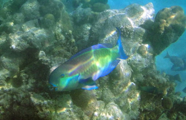 Fairytern Chalets - Photo 6