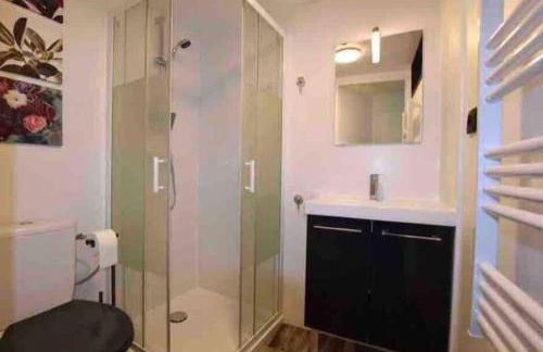 Studio dans maison individuelle - Photo 8