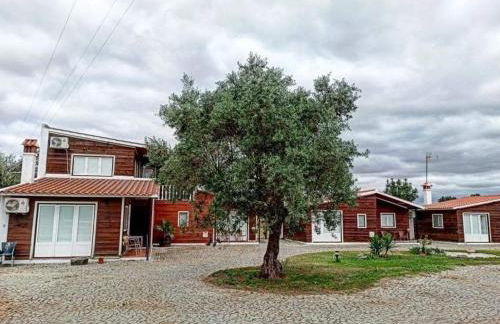 Lusitaurus - Foto 16