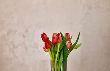 TraMonti Apartments - Foto 38