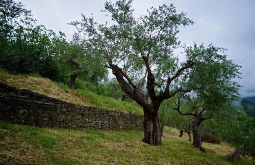 Levantes Mansion - Photo 6