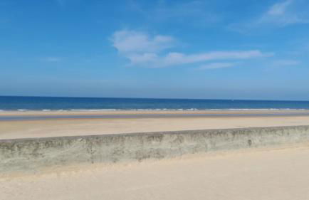 La Bourgandie - Foto 26