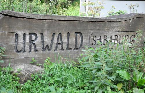 Ruhige und gemütliche Ferienwohnung in Calden - Foto 11