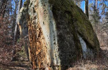 Ferienwohnung Schloss Fischbach - Foto 41