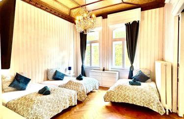 Villa Sartorius - charmant und denkmalgeschützt wohnen nahe Göttingen - Foto 8