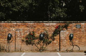 Healing Manor Hotel - Photo 14