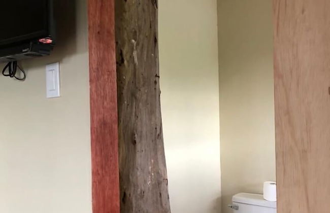 The Blue Mahoe Treehouse - Photo 21